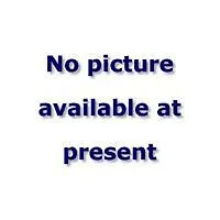 The Leaf Boutique - Adults Only Hotell 3*